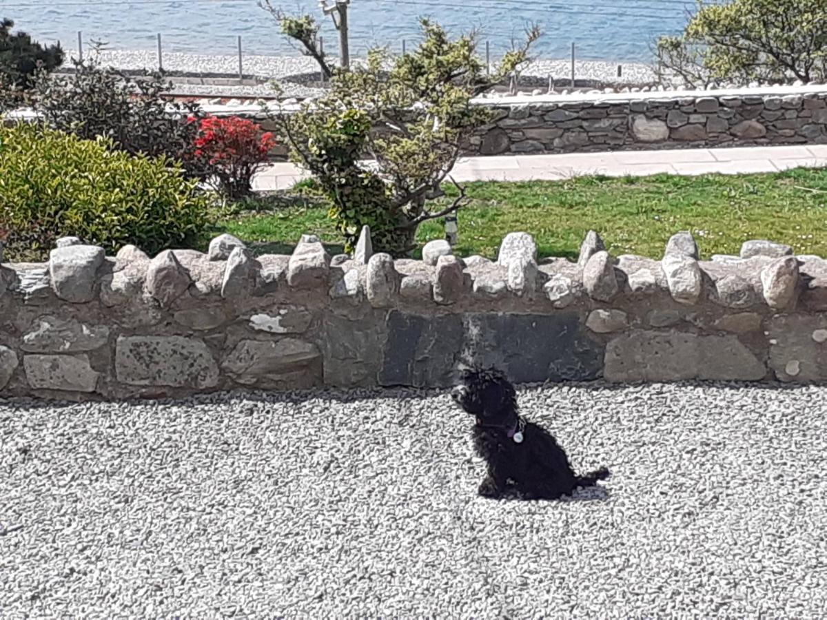 Talarfor Barmouth Villa Bagian luar foto