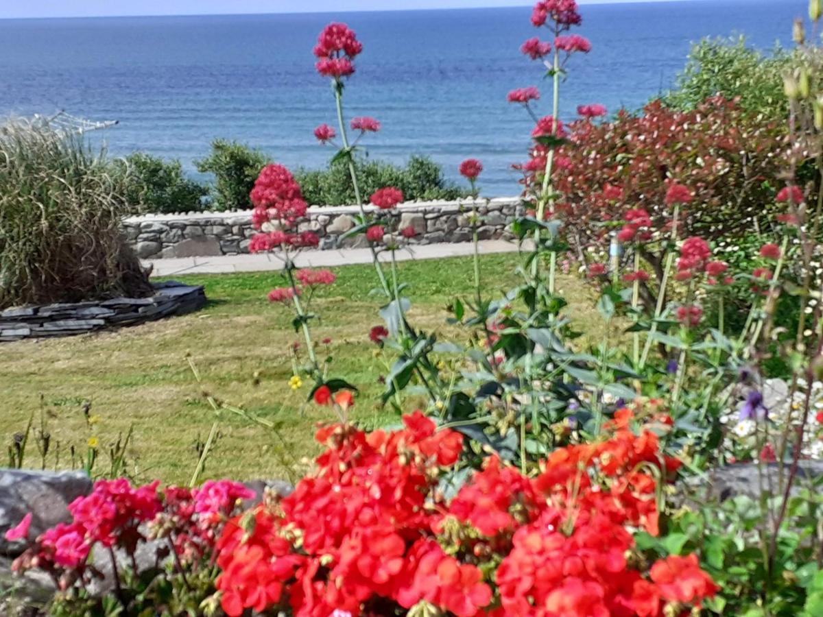 Talarfor Barmouth Villa Bagian luar foto