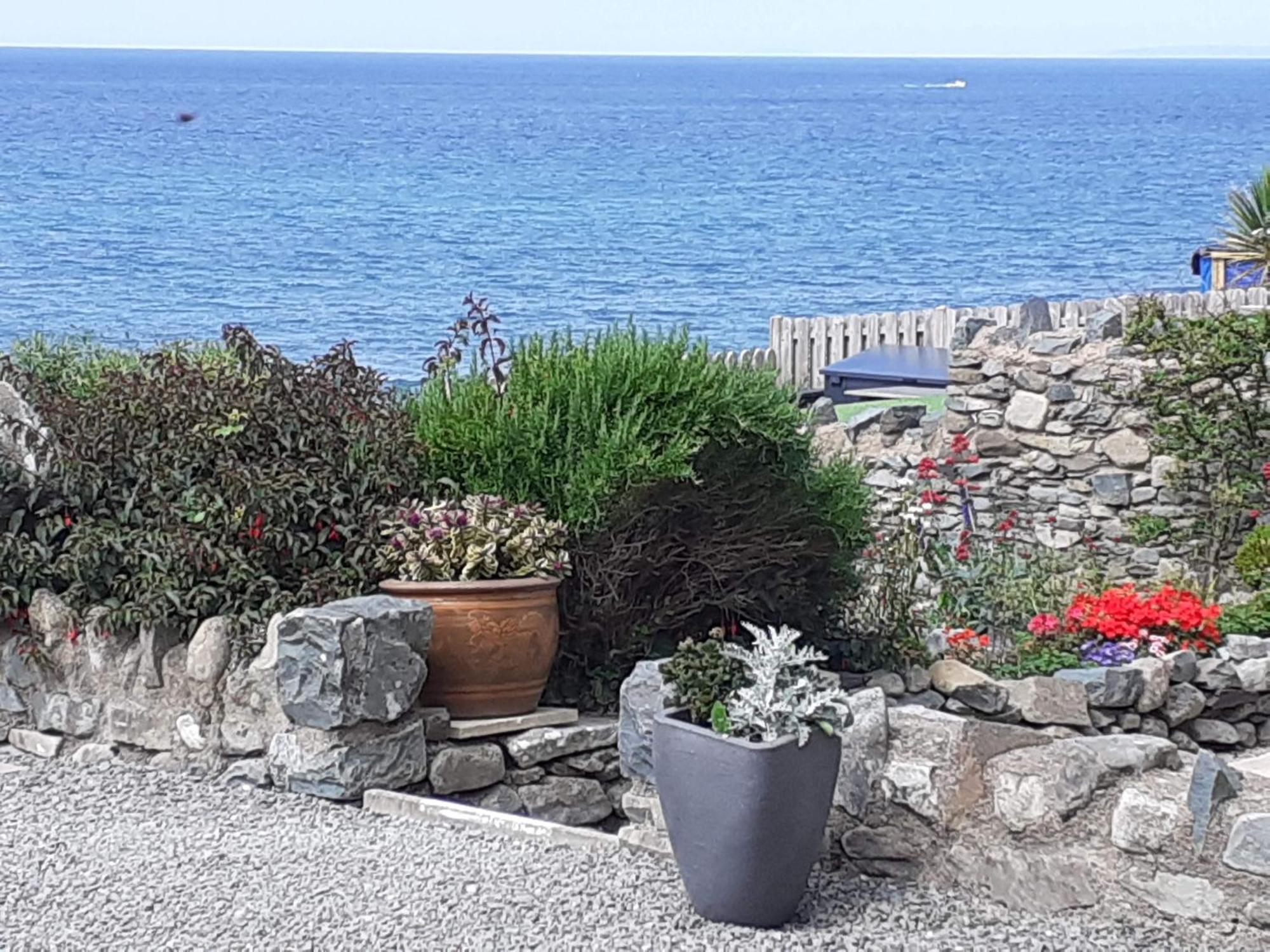 Talarfor Barmouth Villa Bagian luar foto